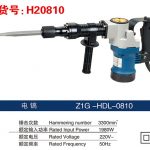 H20810  Electric Pick